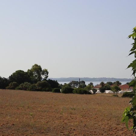 Appartamento Le Petit Sud Carqueiranne Esterno foto