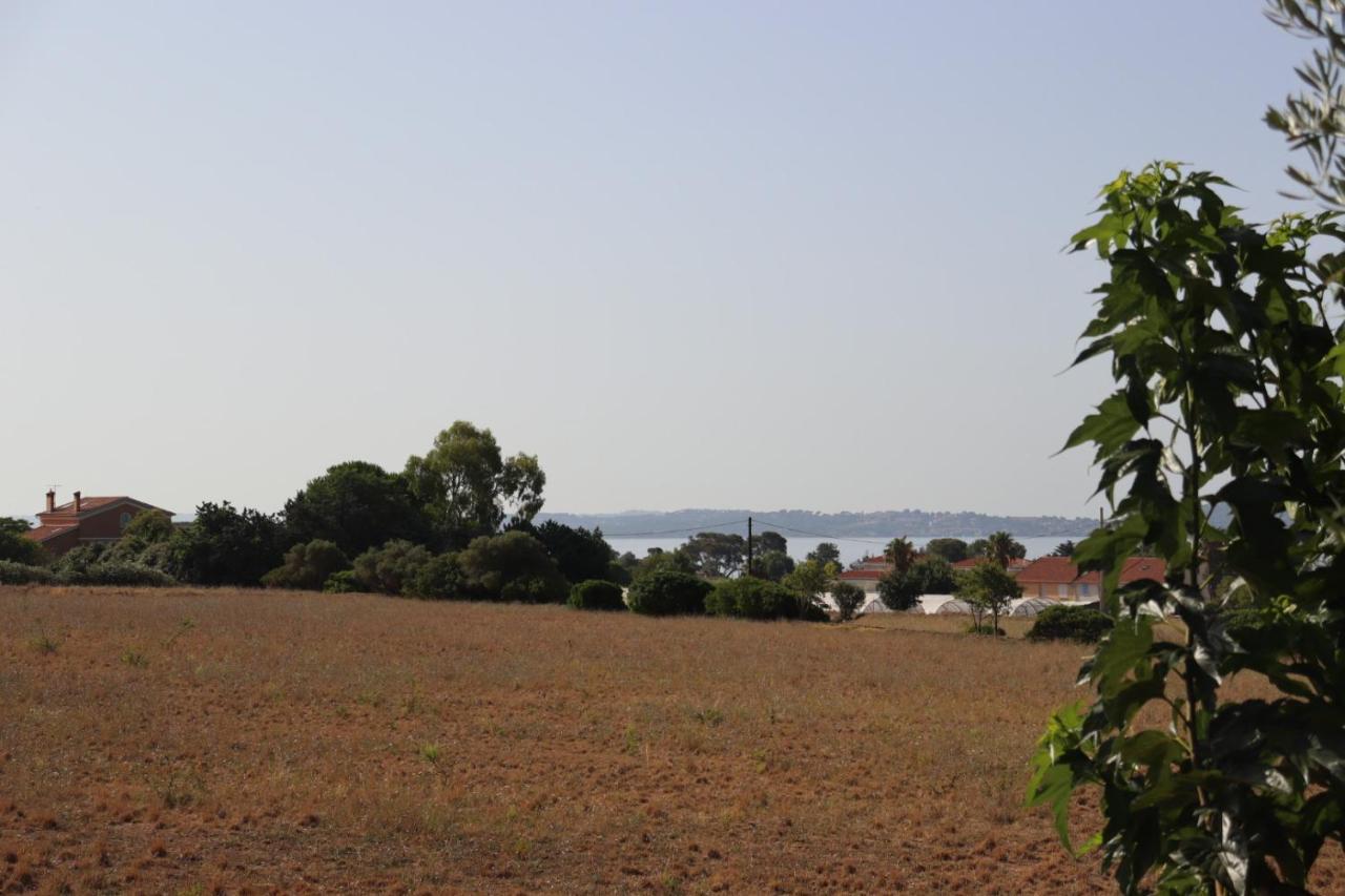 Appartamento Le Petit Sud Carqueiranne Esterno foto